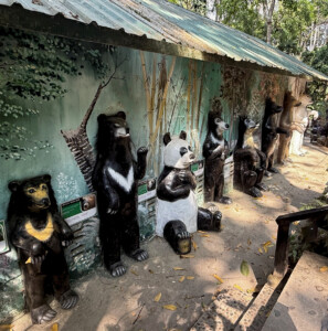 What the Hell Happened in Luang Prabang? 5 sun bear resuce luang prabang laos