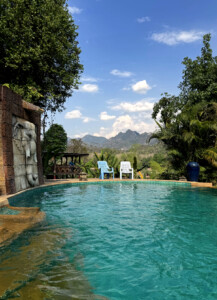 Elephant Ethics, Extinction and the Land of a Million Elephants 14 swimming pool elephant village luang prabang laos
