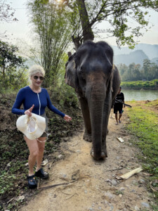 Elephant Ethics, Extinction and the Land of a Million Elephants 5 taking him home elephant village luang prabang laos