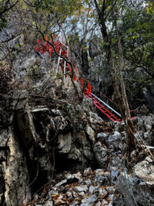 Vang Vieng and Real Life Jungle Gyms 10 vang vieng zipline stairs laos
