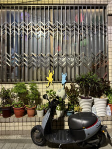 Tianan's Anping Tree House: Putting the Pieces Together 12 cats climbing window tainan taiwan