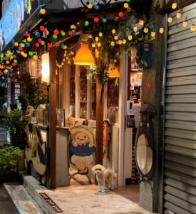Tainan and the Art of Waiting 5 white dog shennong street tainan taiwan