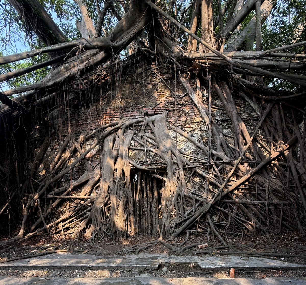 Tainan's Anping Tree House
