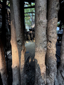 Tianan's Anping Tree House: Putting the Pieces Together 15 anping tree house tainan taiwan nine