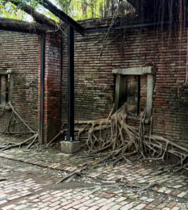 Tianan's Anping Tree House: Putting the Pieces Together 9 anping tree house tainan taiwan seven
