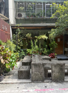 The End of the Living Like I'm Dying Tour 11 bird on cement taipei taiwan